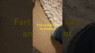 Fart no 669  Fart sounds like an elephant [upl. by Iatnwahs]