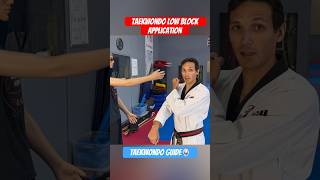 Taekwondo Low Block Application taekwondo poomsae [upl. by Mariana]