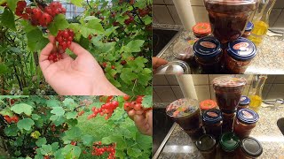 Red Currant and Strawberry Jam ¦¦ Rote Johannisbeere und Erdbeeren Marmalade [upl. by Nesnaj]