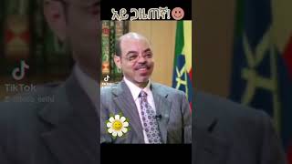 meleszenawi funny enterveiw [upl. by Jeb]