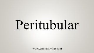 How To Say Peritubular [upl. by Sitoiganap803]