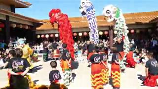 Dragon and Lion Dance during Lunar New Year 2020 Celebration at IBPS Austin TX [upl. by Redna]