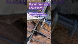 Padlocks on rock lock wall Townsville locksport padlock [upl. by Violette111]