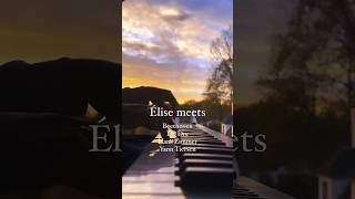 ELISE x DRDRE x HANS ZIMMER x YANN TIERSEN neoclassical piano pianomusic pianocover [upl. by Alisia]