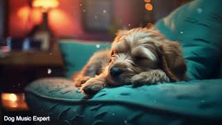 Healing Dog Music Deep Separation Anxiety Music to Calm Dogs Sleep Dog Music🐶 [upl. by Ramos]