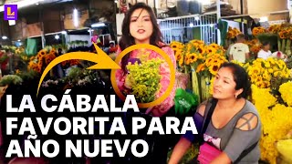 Las mejores cábalas de Año Nuevo Estas son las flores más pedidas para empezar bien el 2024 [upl. by Ahseikram108]