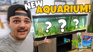 We FINALLY bought a 125G Community FISH TANK [upl. by Ruomyes905]