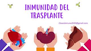 INMUNIDAD DEL TRASPLANTE [upl. by Wash]