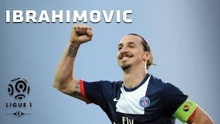 Les 26 buts de Zlatan Ibrahimovic  20132014 [upl. by Nylaf]