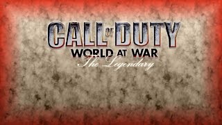 Call Of Duty World At War  How To Enable Developer Console Commands [upl. by Iow]