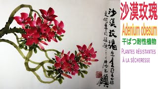 沙漠玫瑰चित्रकारी। Peinture chinoise Chinese painting flowers landscape 國畫山水花鳥水墨画影音教學 [upl. by Anehsat]