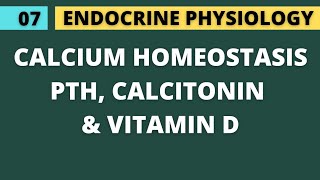 07 CALCIUM HOMEOSTASIS  PARATHYROID HORMONE CALCITONIN VITAMIN D  ENDOCRINE PHYSIOLOGY [upl. by Amedeo]