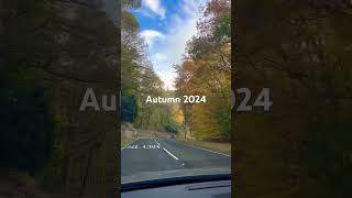 Feel the autumn on the road 🍁😍 Morpeth England uk [upl. by Meesak]