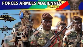 Urgent  plusieurs terroristes neutraliser par les bataillons commando [upl. by Ceporah]