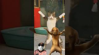 animals funny dance shorts [upl. by Ketchum]