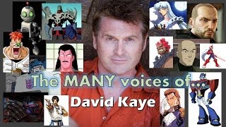 The MANY Voices of  David Kaye [upl. by Neille]