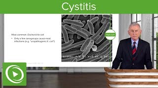 Cystitis Definition Causes and Epidemiology – Infectious Diseases  Lecturio [upl. by Walliw]