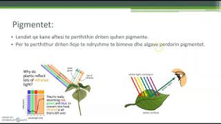 Fotosinteza  Biologjia 11 [upl. by Niccolo705]