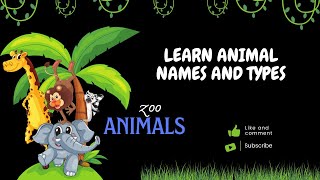 Zoo Animals Songs [upl. by Noseaj761]