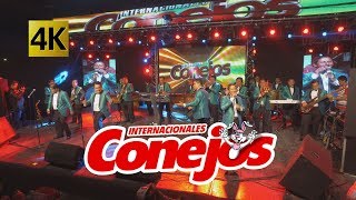 Internacionales Conejos  Fieston 133 Aniversario 4K [upl. by Centeno]