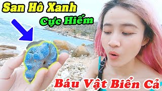 Chị Vê Nhặt Được San Hô Xanh Cực Hiếm Ngoài Đảo Hoang  Vê Vê Channel [upl. by Yznyl]