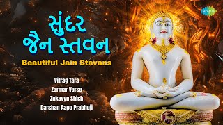 Beautiful Jain Stavans  સુંદર જૈન સ્તવન  Vitrag Tara  Zarmar Varse  જૈન સ્તવન [upl. by Radborne]