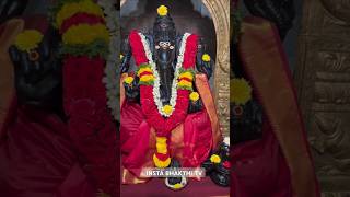 Insta bhakthi tv  reels 144 🙏  Murugan whatsapp status Tamil murugan perumal temple tamilnadu [upl. by Akcebar]