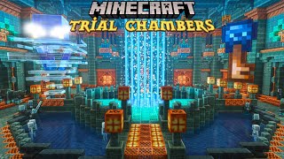 I Transformed the 121 TRIAL CHAMBERS in Minecraft [upl. by Atteuqram]