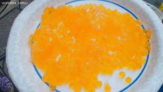 4 Different WaysI Cure Salmon Eggs for Steelhead Bait [upl. by Beshore]