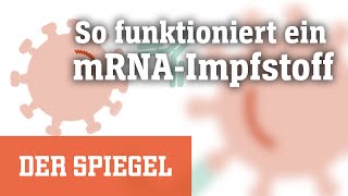 Corona Wie funktioniert ein mRNAImpfstoff  DER SPIEGEL [upl. by Edd297]