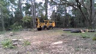 Tree Removal by Alpine Lumber using Feller Buncher [upl. by Steele149]