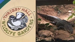 Visit Thrigby Hall Wildlife Gardens Autumn Vlog 2024 [upl. by Eimrots]