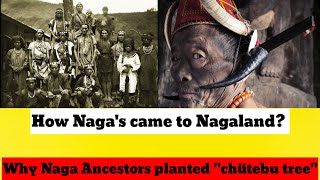 How Nagas came to Nagaland History of Nagas Origin Explain by Maryandai [upl. by Julius237]