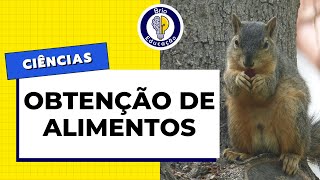 Ciências Obtenção de Alimentos  Brio Educação [upl. by Fionnula874]