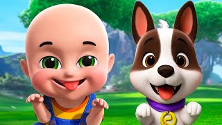 Bingo Song New Compilation  Animal Farm Song amp Old MacDonald Nursery Rhymes amp Kids Songs Baby Bobo [upl. by Sidran]