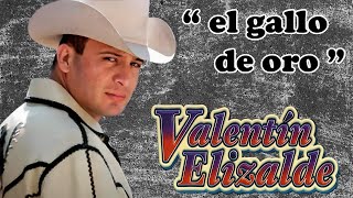 Valentin Elizalde Las 30 Exitos Corridos Con Banda  Emocionante Con El Gallo De Oro [upl. by Yrral]