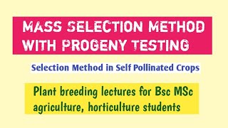 Mass selection with progeny test Mass selection method in self pollinated crops [upl. by Mcclary877]