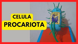 Maqueta de CELULA PROCARIOTA [upl. by Froemming]