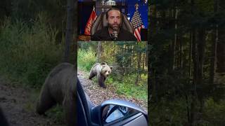 Man Tries to Feed a Grizzly BearInstantly Regrets It [upl. by Azriel]