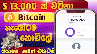 නොමිලේ Bitcoin 😍  Free Botcoin airdrop 2024  e money sinhala [upl. by Eivod]