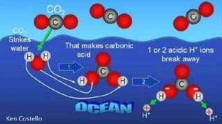 How Does Carbon Dioxide Enter Sea Water  Earth Science [upl. by Obnukotalo]