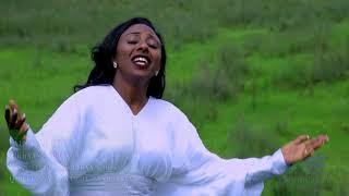 Birhane Tefera  Falmataa Koo  New Ethiopian Oromo Music 2018 Official Video [upl. by Vescuso]