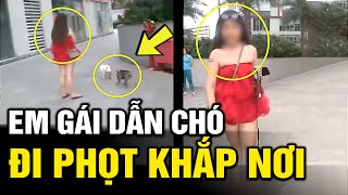 Em gái thể hiện sự nguy hiểm dẫn chó đi phọt khắp khu vui chơi  Hài tin việt mới nhất  Tô Tin Tức [upl. by Brockwell207]