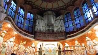 Palau de la Música Catalana Pipe Organ Playing [upl. by Wj]