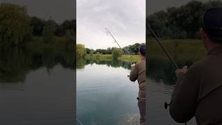 Big carp locating catching and landing carpfishing carpfishing2024 [upl. by Solracsiul]