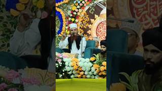 Allama Afzal Hossain rizvi zikr e mustafa conference new shortvideo [upl. by Pesvoh]