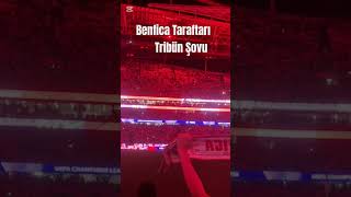 Benfica Taraftarından Bologna Maçı Öncesi Tribün Şovu [upl. by Egidio]