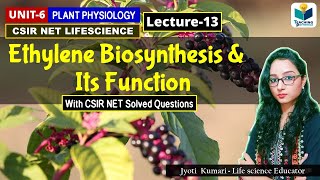 ETHYLENE BIOSYNTHESIS AND FUNCTIONS  PHYTOHORMONESPART13CSIR NET PLANT BIOLOGY [upl. by Krucik]