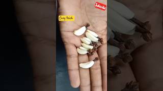 how to grow clove plant at home I how to grow clove plant from seeds I how to grow clovescloveplant [upl. by Eras]