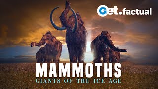 Mammoths  Giants of the Ice Age [upl. by Orenid265]